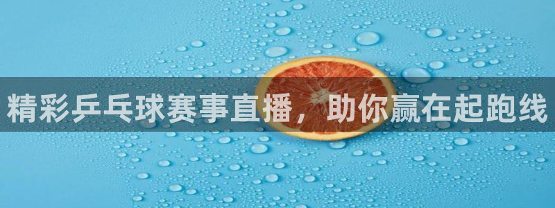 精彩乒乓球赛事直播，助你赢在起跑线