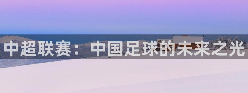 中超联赛：中国足球的未来之光