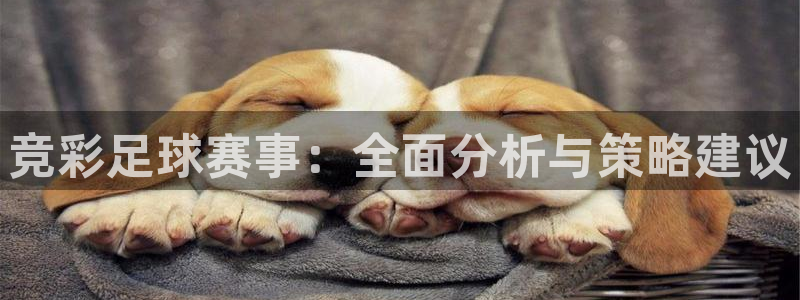 竞彩足球赛事：全面分析与策略建议