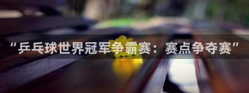 易游app游戏交易：“乒乓球世界冠军争霸赛：赛点争夺赛”
