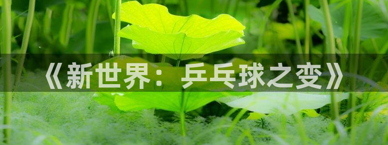 易游网游戏交易平台可信吗安全吗：《新世界：乒乓球之变》