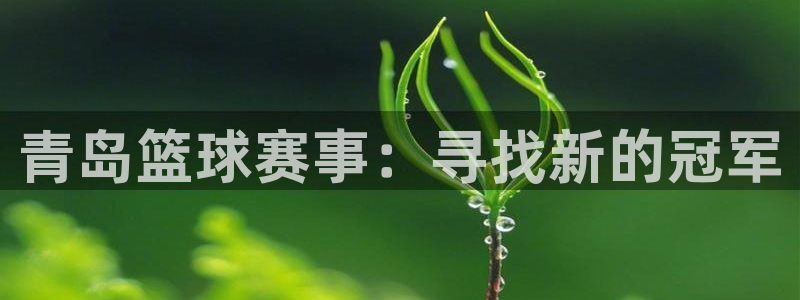 易游平台是之前的米乐平台吗：青岛篮球赛事：寻找新的冠军