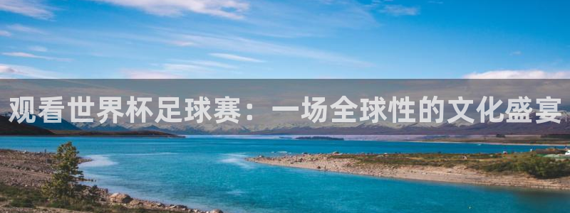 易游商城提现多久到账：观看世界杯足球赛：一场全球性的文化盛宴